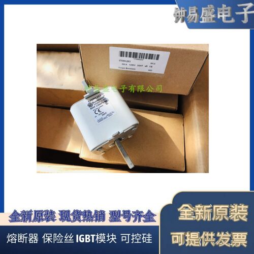 BUSSMANN快速熔断器170M6203 800A 1250V 现货热销 全新原装