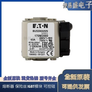 美国伊顿EATON Bussmann熔断器170M3420
