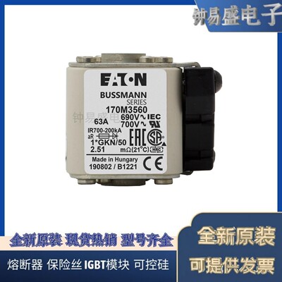 美国伊顿EATON Bussmann熔断器170M3511