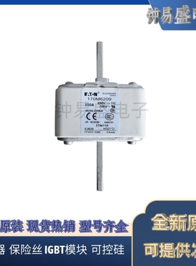 Bussmann熔断器170M6207 170M6258 170M6259 170M6260 170M6261