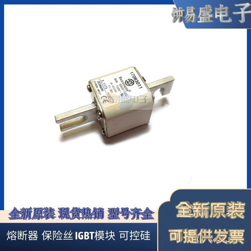 COOPER 伊顿巴斯曼BUSSMANN熔断器170M3011 690V 80A
