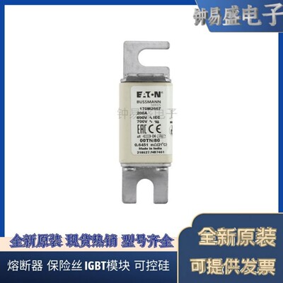美国伊顿EATON Bussmann熔断器170M2666