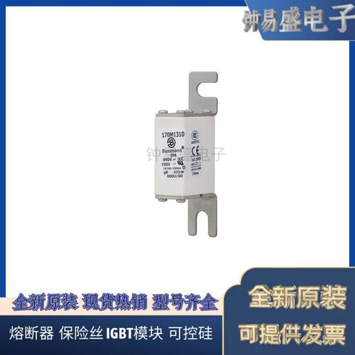 出售Bussmann熔断器170M1308 1309 1310 1311 1312 1313  1314