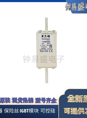 Bussmann熔断器170M3989 170M3990 Bussmann熔断器170M3991