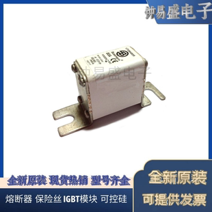 Bussmann熔断器170M4802 170M4803 170M4804 170M4805 170M4806
