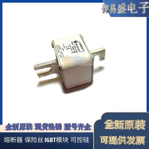 COOPER 伊顿BUSSMANN巴斯曼170M5013 690V 700A熔断器