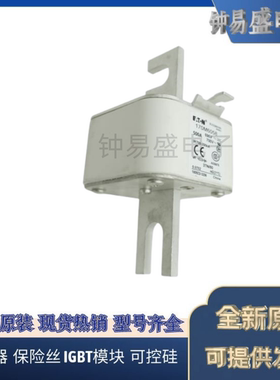 出售Bussmann熔断器170M6058 6059 6060 6061 6062 6063 6064