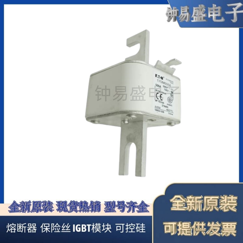 COOPER BUSSMANN熔断器170M6062 690V 800A