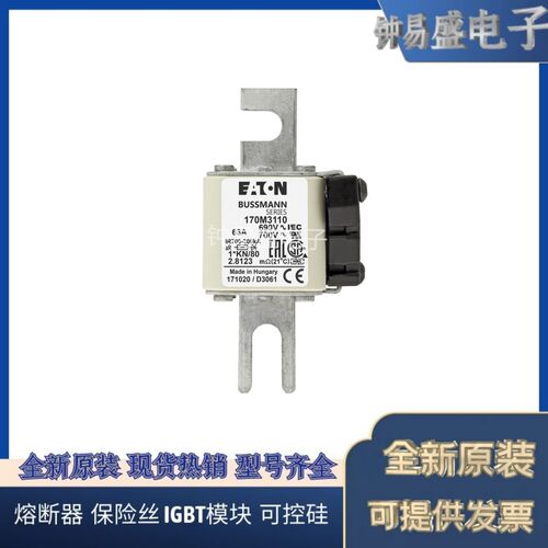 COOPER BUSSMANN熔断器170M3110 690V 63A