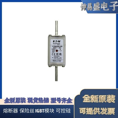 美国伊顿EATON  Bussmann熔断器170M3815D
