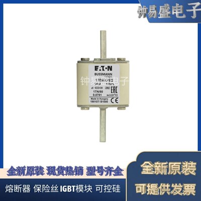 出售ssmann熔断器170M4064  4065  4066  4067  4068  4069。