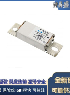 美国伊顿EATON Bussmann熔断器170M1829
