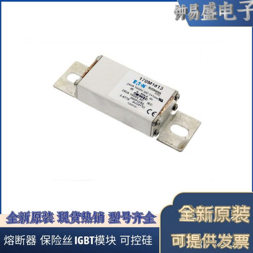 美国伊顿EATON Bussmann熔断器170M1842  170M1843 170M1844