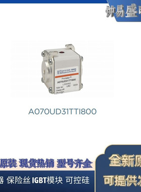 罗兰熔断器A070UD31TTI800 L300482  700V 800A