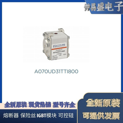 罗兰熔断器A070UD31TTI800 L300482  700V 800A