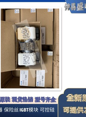 美国伊顿EATON Bussmann熔断器170M6469 1600A 690V 巴斯曼