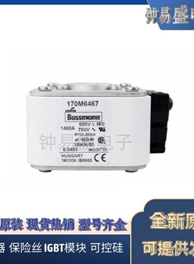 美国伊顿EATON Bussmann熔断器170M6467