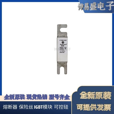 美国伊顿EATON  Bussmann熔断器170M1363  690V  40A