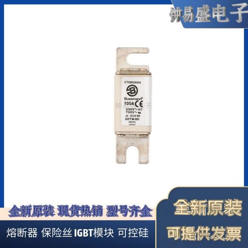 COOPER BUSSMANN熔断器170M2665 690V 125A