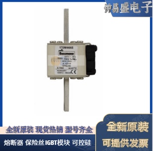 出售Bussmann熔断器170M4660 4661 4662 4663 4664 4665 4666