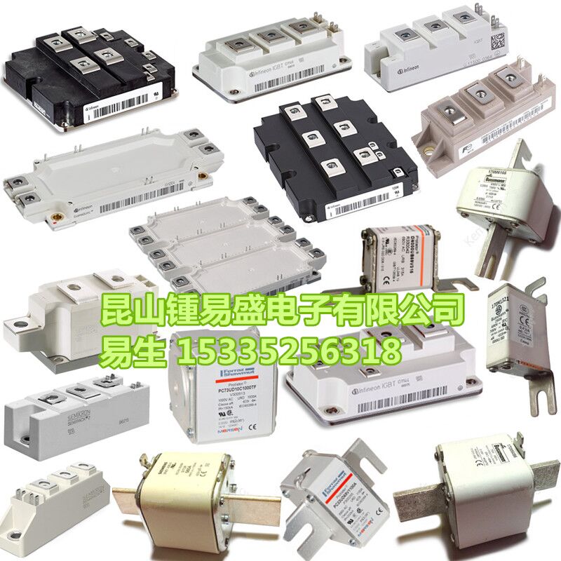 Bussmann熔断器170M7103 170M7104 170M7105 170M7106 170M7118