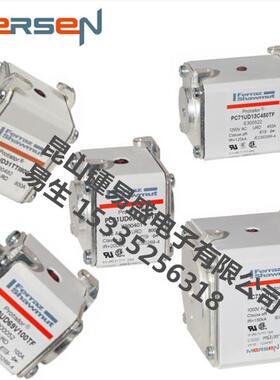 罗兰熔断器D72GB60V250EF N302692 D72GB60V315TF J302090