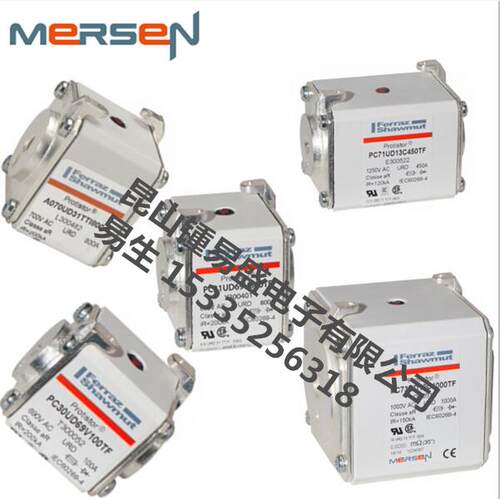 罗兰熔断器D72GB55V450TF M302093 D72GB60V200EF M302691