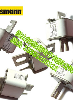 Bussmann熔断器170M3921 170M3922 170M3923 170M3924 170M3925