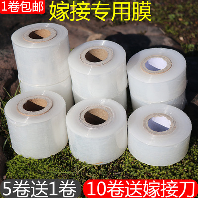 果树嫁接专用膜缠绕膜自粘芽接