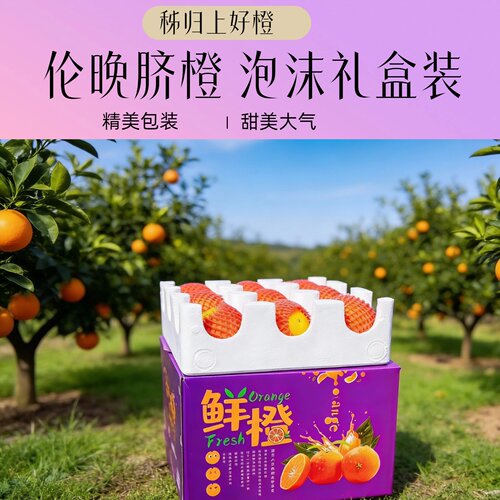 （伦晚脐橙礼盒泡沫箱）秭归伦晚橙子秭归脐橙甜湖北三峡应季水果