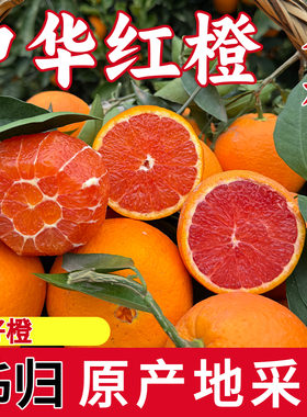 宜昌秭归血橙中华红橙5现摘手剥水果应季新鲜橙子非伦晚脐9斤橙子