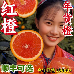 宜昌秭归血橙中华红橙5现摘手剥水果应季新鲜橙子非伦晚脐9斤橙子