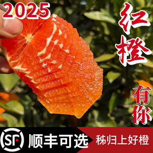 秭归中华红橙子雪橙5斤9斤新鲜脐橙孕妇手剥水果应当季甜橙非伦晚
