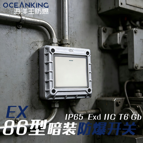 86型防爆开关暗装防水IP65工业防腐WF2 等级Exd IICT6海洋王防爆