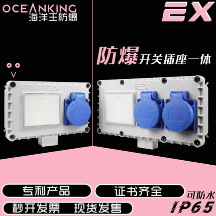 EX防爆开关插座一体防水明装墙壁五孔十孔户外照明工业开关250v