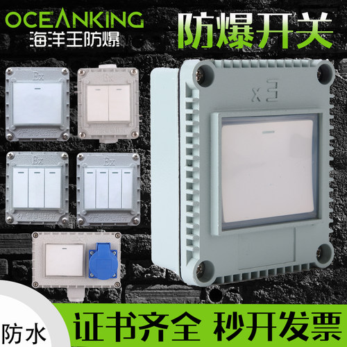 单联双联防水防爆开关220v