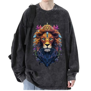 美式秋装男款3D个性狮子精灵宽松大码复古做旧水洗全棉长袖T恤