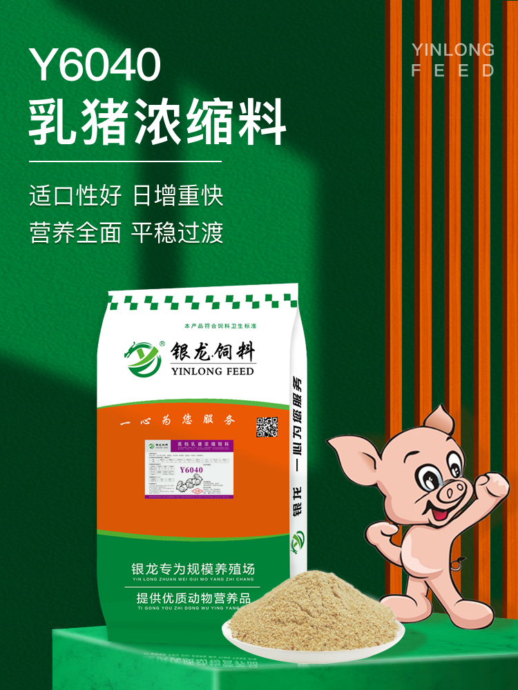 银龙猪饲料Y6040 乳猪浓缩料40%育肥四六比仔猪保育饲料厂家直销