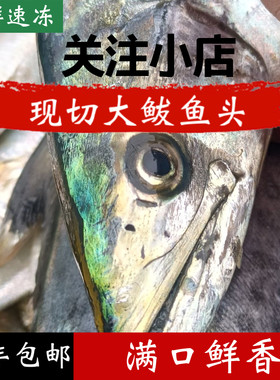 大鲅鱼头顺丰包邮新鲜鲅鱼头马鲛鱼头海鱼燕尾鲅鱼头海产