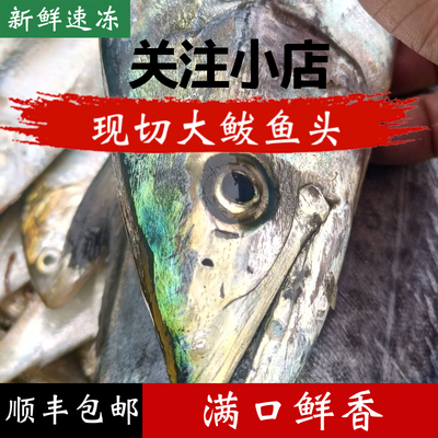 大鲅鱼头顺丰包邮新鲜鲅鱼头马鲛鱼头海鱼燕尾鲅鱼头海产