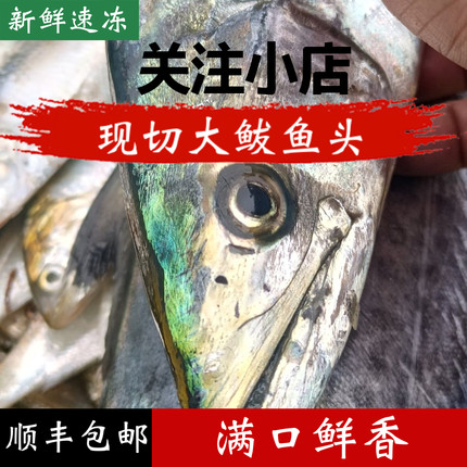 大鲅鱼头顺丰包邮新鲜鲅鱼头马鲛鱼头海鱼燕尾鲅鱼头海产