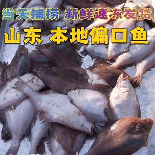 山东特产长脖鱼新鲜偏口鱼看清楚不是蝶鱼不是多宝鱼不是比目鱼