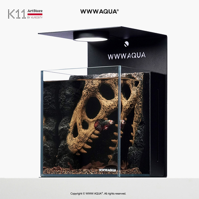 斗鱼专用鱼缸生态全套桌面摆件