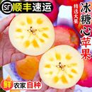 山西运城临猗红富士脆甜冰糖心丑苹果水果新鲜10斤平果顺丰 整 包邮