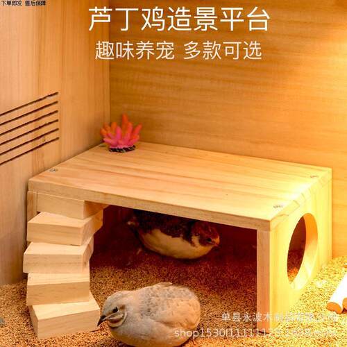 芦丁鸡小屋造景宠物箱别墅