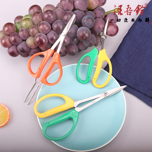 汪吾铨翘头果蔬修枝剪