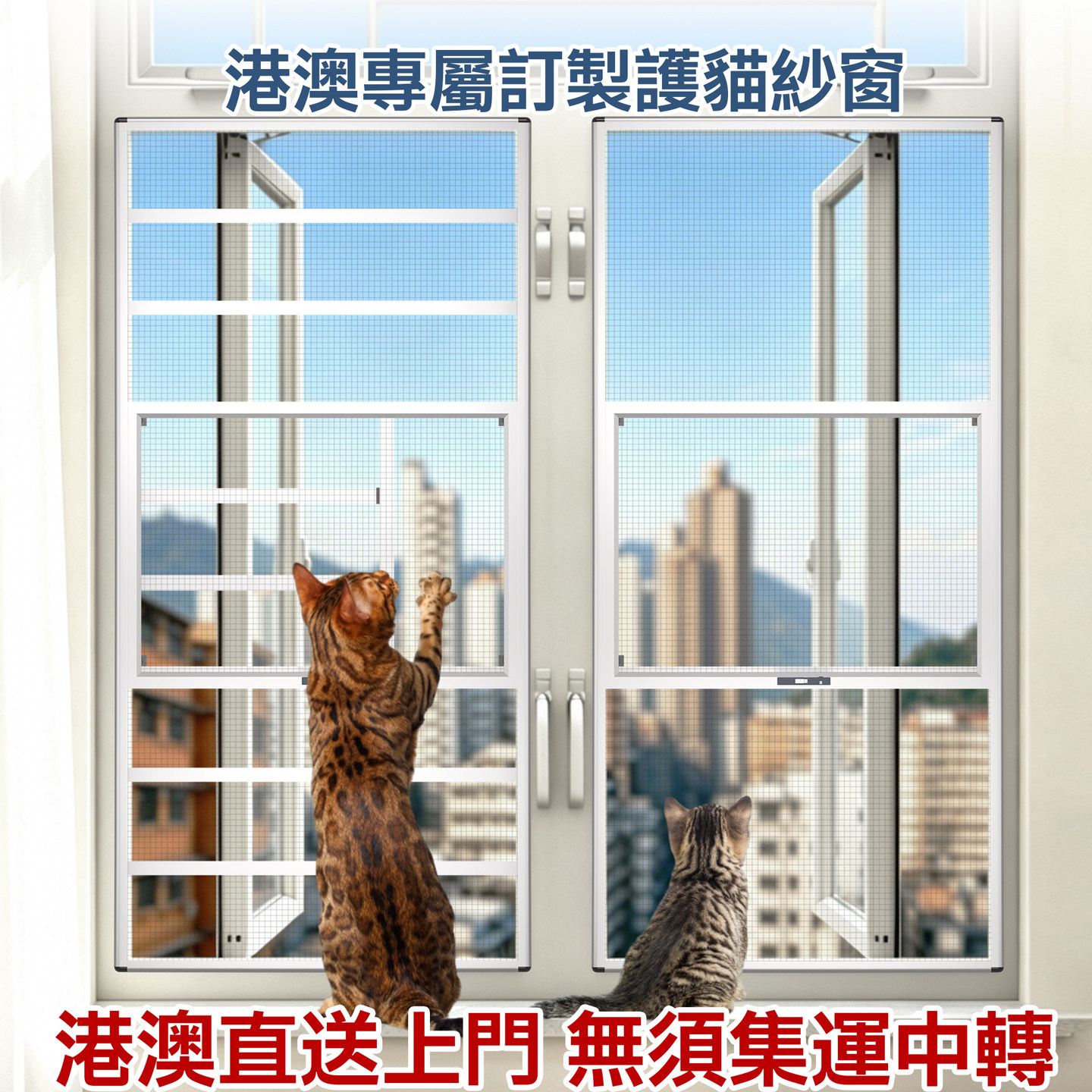 港式公屋防猫防蚊免打孔纱窗