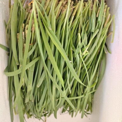 农家自种韭菜农家自种现割鲜嫩韭菜当季新鲜蔬菜时令蔬菜饺子馅