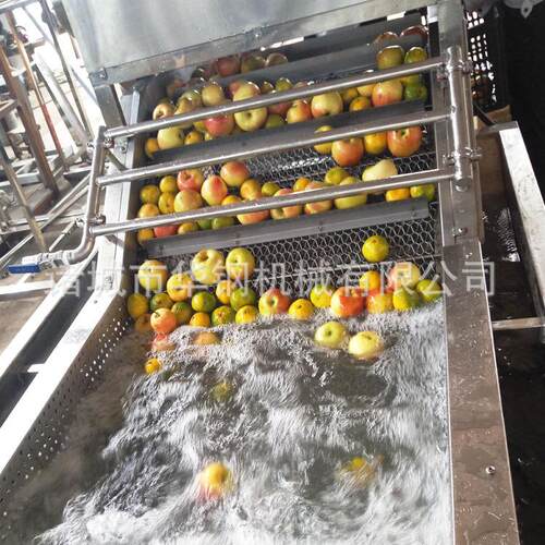 供应汽浴毛辊清洗机 苹果橙子气泡清洗机 蔬菜基地清洗设备