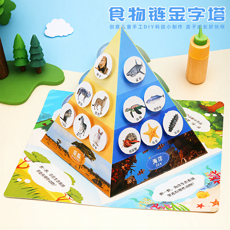 科学实验儿童手工diy食物链金字塔模型科技小制作学生生物课教材
